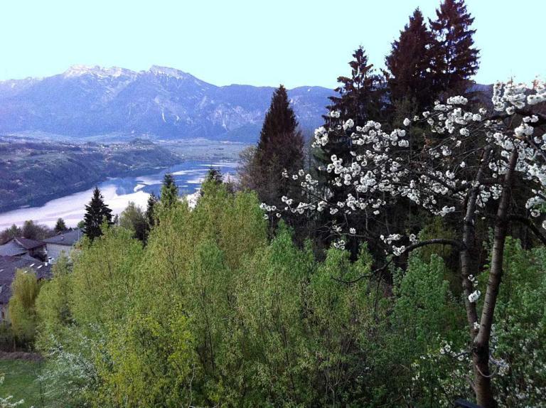 B&B Alba Sul Lago Перджине-Вальсугана Экстерьер фото