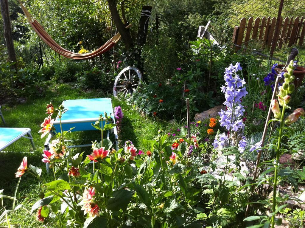 B&B Alba Sul Lago Перджине-Вальсугана Экстерьер фото